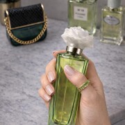 Decadence Marc Jacobs аромат — аромат для женщин 2015