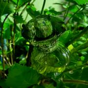 香水(女性用) JILLSTUART Night Jewel Summer Bloom 50mL Night Jewel Summer Bloom Jill Stuart perfume - a fragrance