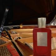 Photo by Alex Guerra Terra