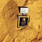 Photo by Ahmed abbass