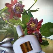 Photo by Лейка@@@