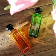 Eau de mandarine discount ambree eau de cologne