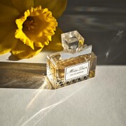 Miss Dior Parfum (2024) Dior perfume - a fragrance for women 2024