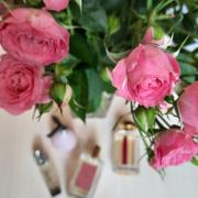 Voleur de Roses L'Artisan Parfumeur perfume - a fragrance for women and ...