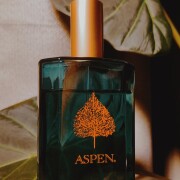 Aspen For Men Coty cologne - a fragrance for men 1989