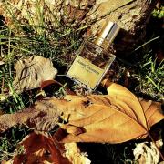 Photo by laurentiurobert529