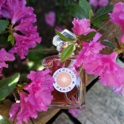 Terracotta Eau de Toilette Guerlain perfume - a new fragrance for