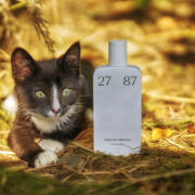 Hakuna Matata 27 87 perfume - a new fragrance for women and