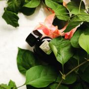 Photo by ekaterina.borkun