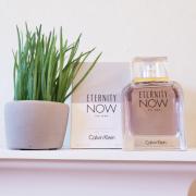 Eternity Now For Men Calvin Klein cologne - a fragrance for men 2015
