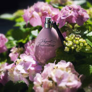 エージェント プロヴォケーター EDP 香水 AGENT PROVOCATEUR Amazon.com : AGENT PROVOCATEUR Eau De Parfum Spray, 6.7