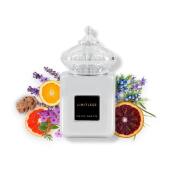 Photo by Muhammed rashid