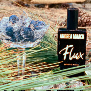 Flux Andrea Maack perfume - a novo fragrância Compartilhável 2025