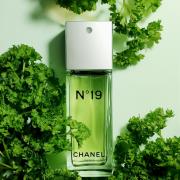 chanel n19 perfume parfum