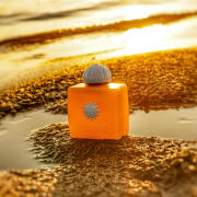 アムアージュ サンシャイン ウーマン 100ml 新品 Amouage Sunshine Woman - купить женские духи Амуаж Саншайн