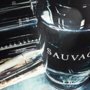 Sauvage Very Cool Spray Dior cologne - a fragrance for men 2017