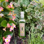 Verveine Geranium L'Occitane en Provence perfume