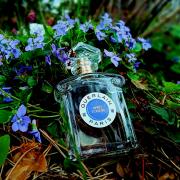 Après L'Ondée Eau de Toilette Guerlain perfume - a