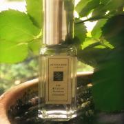 Fig amp Lotus Flower Jo Malone London perfume a fragrance