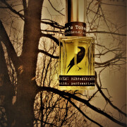 tokyomilk poe's tobacco Poe's Tobacco Tokyo Milk Parfumerie Curiosite perfume