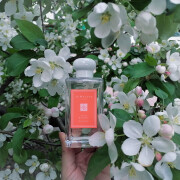 Plum Blossom Jo Malone London perfume - a fragrance for women 2012