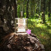 Photo by ЮлияЛето