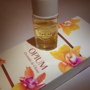 Photo by Engel desTodes