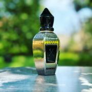 Tony Iommi Monkey Special Xerjoff perfume - a fragrance for women and ...