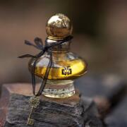 Voile de Chypre Secret III Eisenberg fragancia una fragancia