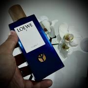 LOEWE 7 Cobalt オードパルファム 50ml 男性用 7-cobalt-50ml-frasco.jpg?sw=