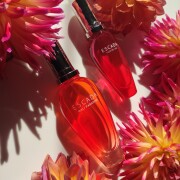 Bali Paradise Escada 香水- 一款2024年新的女用香水