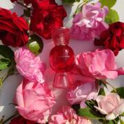 Fiori D'Amore Bvlgari аромат — аромат для женщин 2021