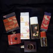 Photo by Anf&iacute;trite