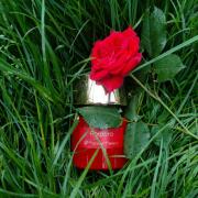 Photo by fabrice1977