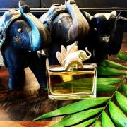 kenzo jungle elephant 100ml sephora