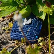 Photo by Thijssie2inches