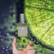 Combava Cedrat Affinessence perfume - a new fragrance for women and men ...