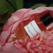 Holy Peony Dior perfume - a fragrance for women 2019