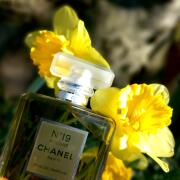 Chanel No 19 Poudre Chanel perfumy - to perfumy dla kobiet 2011
