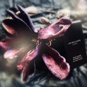 その他 JO MALONE DARK AMBER & GINGER LILY Jo Malone London Dark Amber & Ginger Lily Cologne Intense