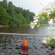 Photo by Vibia Sabina