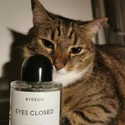 Eyes Closed Byredo perfume - a new fragrance for women and men 2022