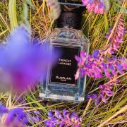 Frenchy Lavande Guerlain perfume - a fragrance for women and men 2021