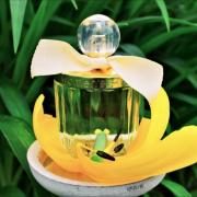 Eau My Delice Women Secret perfume - a fragrance for women 2016