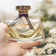 Mon Jasmin Noir Bvlgari perfume - a fragrância Feminino 2011