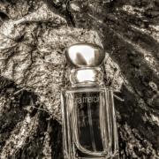 Ambre Passion Laura Mercier perfume - a fragrance for women 2005