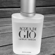 Acqua di Gio by Giorgio Armani Cologne for Men – Luxury Perfumes