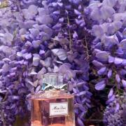香水(女性用) RakutaoChristian DiorEau deToilette Amazon.com : Dior Miss Dior Eau de Toilette Eau de Toilette