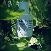 Photo by Engel desTodes