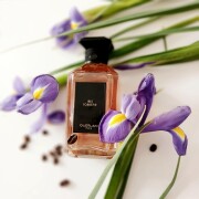 Iris Torréfié Guerlain 香水- 一款2020年中性香水